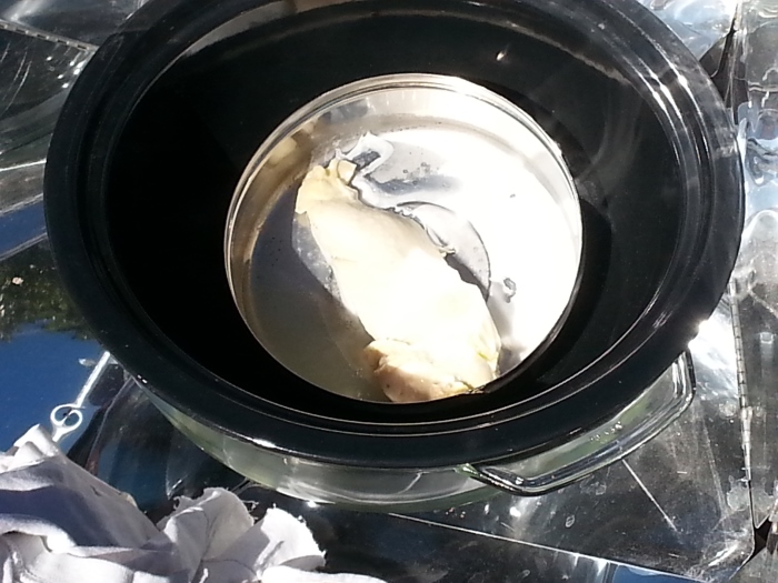 https://www.solarcooker-at-cantinawest.com/images/xhotpot_chicken_breast_november_cold_day1.jpg.pagespeed.ic.PS4pteJZmv.jpg