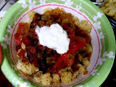 Solar Cooked Chicken Paprikash served up